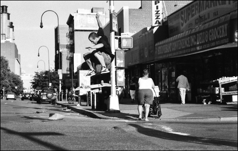 louhardflip.jpg